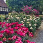 Der Rosengarten von Gutlohhof