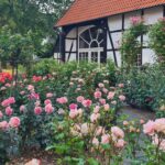 Der schöne Rosengarten auf Gut Lohhof in Hamm - die Hochzeitslocation